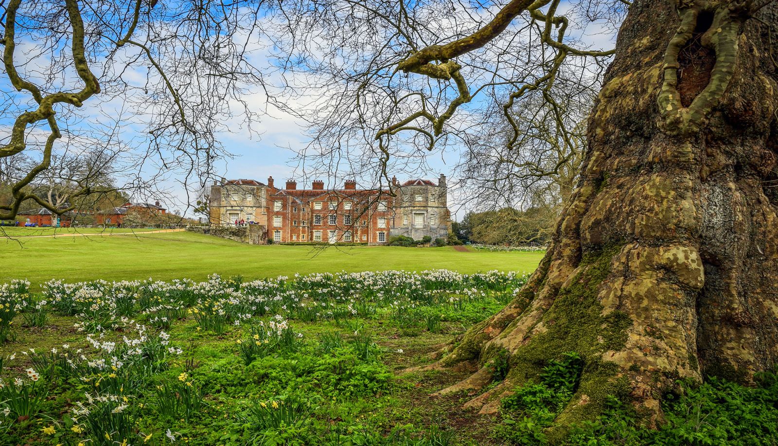 Mottisfont House with Snowdrops